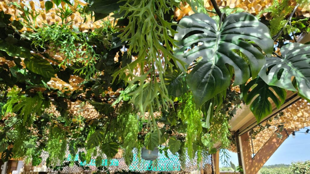 décoration végétale intérieur extérieure - Vertical Jungle
