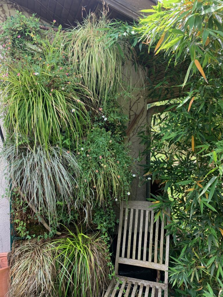 mur végétal intérieur extérieur - vertical jungle