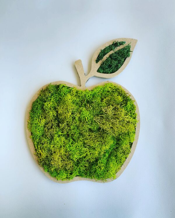 POMME - Cadre Végétal Stabilisé - Fraîcheur Naturelle pour Votre Intérieur
