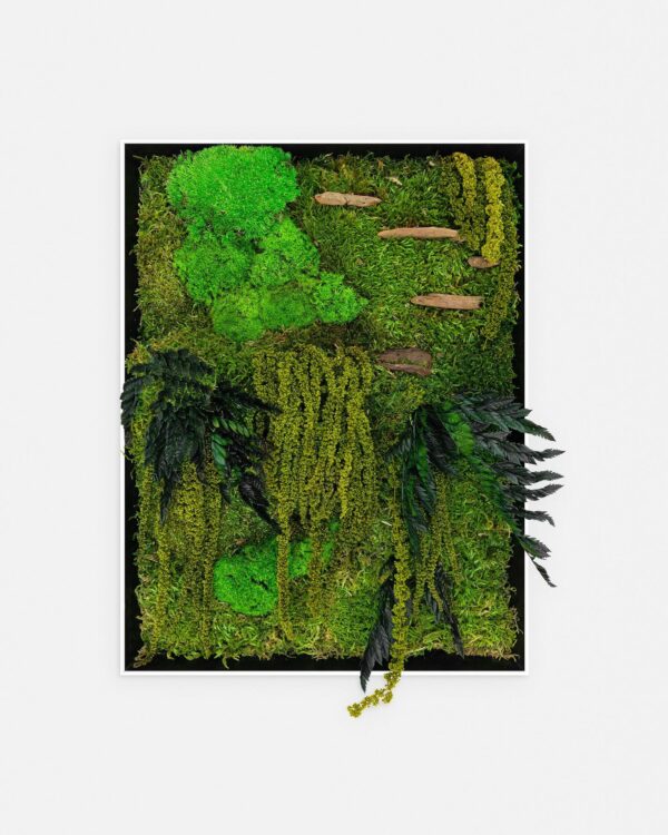 Cadre Végétal Décoratif - FORÊT