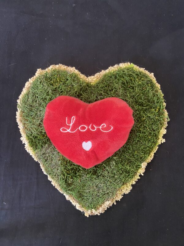 Coeur végétal St Valentin